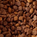 Tahılsız Kedi Maması: FDA DCM Tartışması ve Bilim