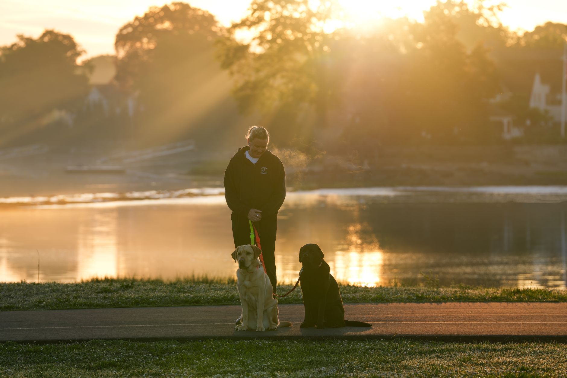 Köpekte Üstüne Atlama: Selamlama Sorunu