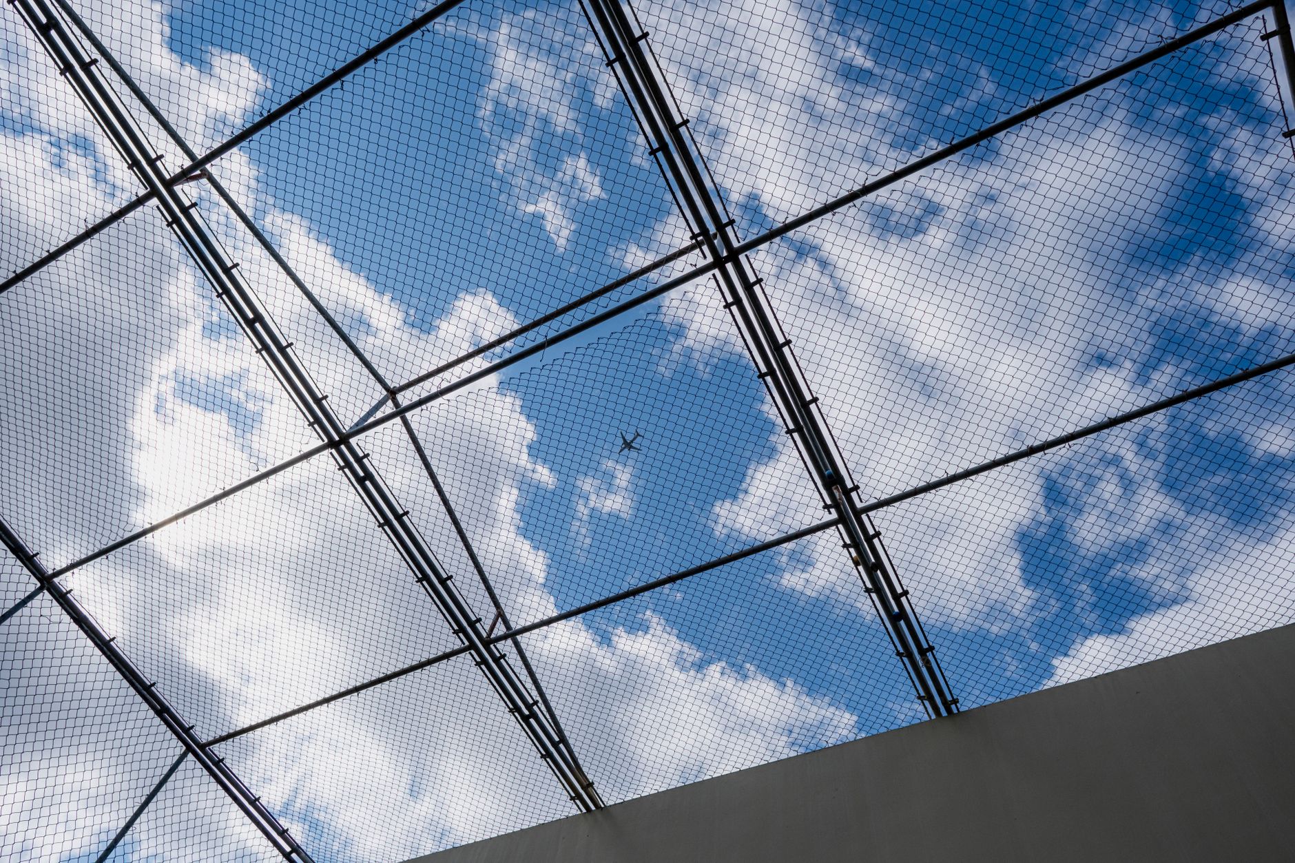 aviary iskelet tel